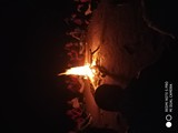 Forest Camp- Camp Fire