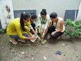 Green Campus