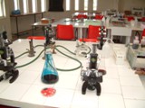 DSCF0036