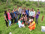 Tree Plantation-1